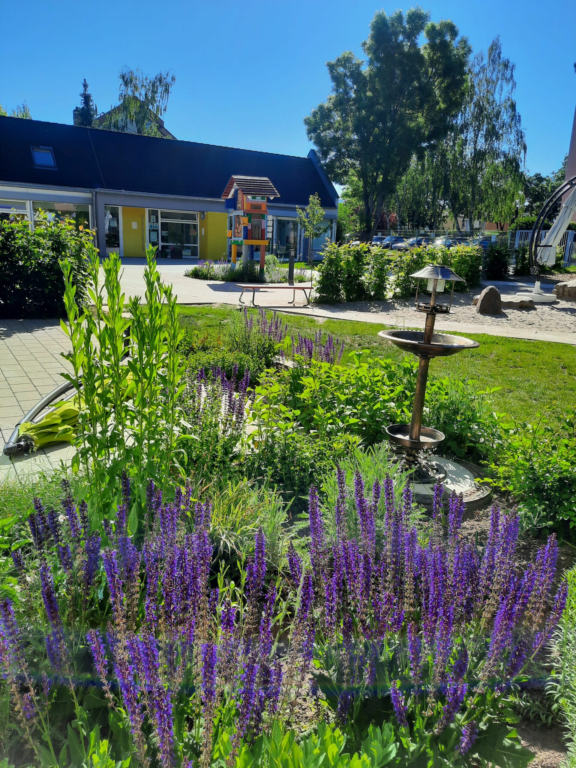 Pflanzflächen Fröbel-Kindergarten